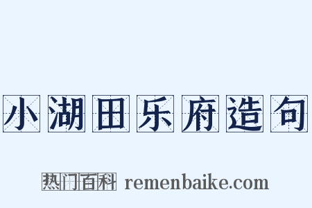 小湖田乐府造句是什么意思的图片